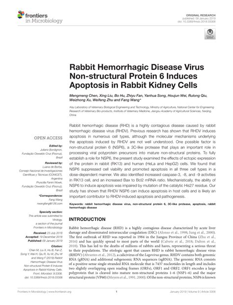 PDF Rabbit Hemorrhagic Disease Virus Non Structural Protein 6 Induces