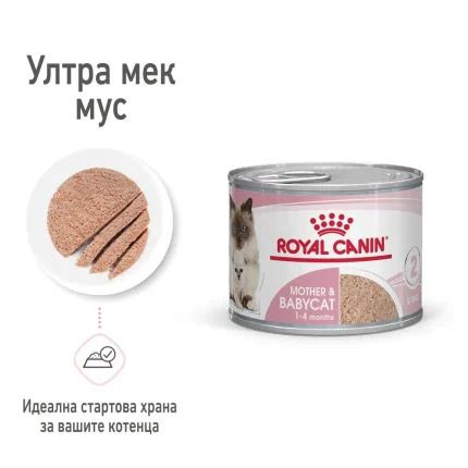 ROYAL CANIN MOTHER BABYCAT CAN 195g на Цена от 6 93лв Lapichki bg