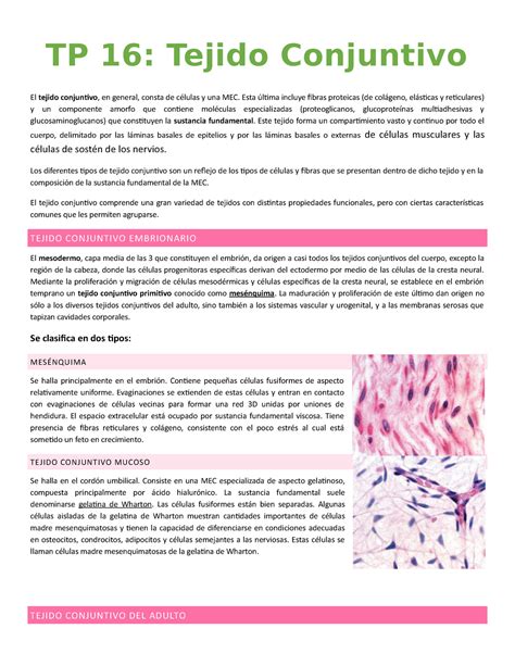 Resumen Histología Tejido conectivo El tejido conjuntivo en general