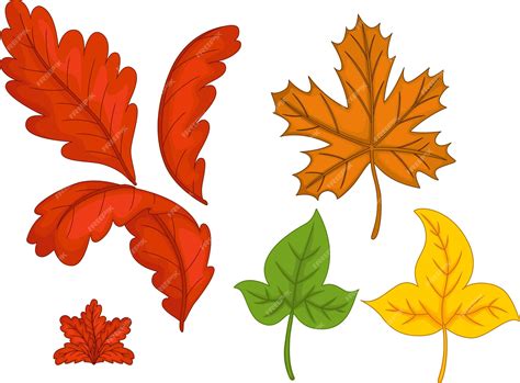 Premium Vector | Autumn leaf