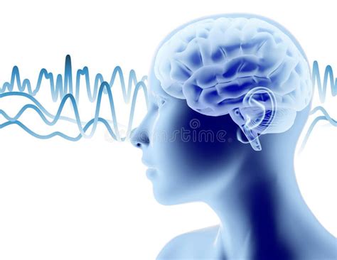 Perfil Con Las Ondas Cerebrales Del Cerebro D Y De La Cara Ejemplo De