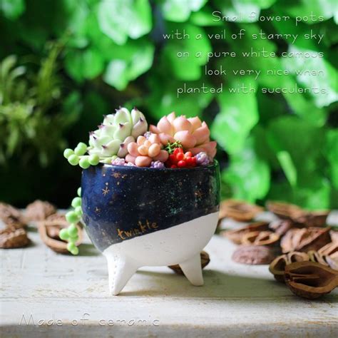 ao funny plants minne