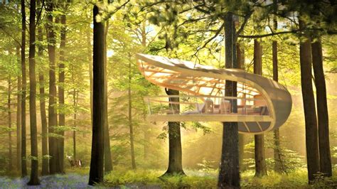 How To Make Tree House In The Forest at Kathaleen Velasquez blog