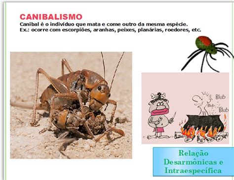Relações Ecológicas Canibalismo - Biologia - O Estudo da Vida - : Relações Ecológicas Definições