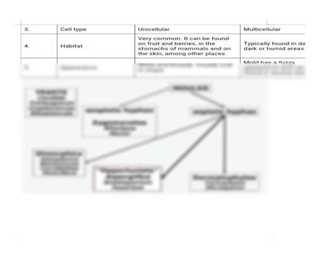 Solution Classification Of Yeast And Mold Studypool