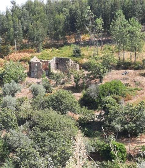 Terreno à venda lugar Matos de Pampilhal s n Cernache do Bonjardim