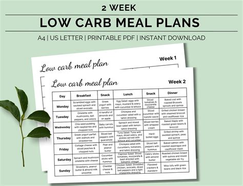 Printable 2 Week Low Carb Meal Plan, Low Carb Diet Plan, Diabetic Meal ...