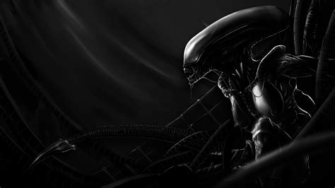 Xenomorph wallpaper, Xenomorph, digital art, science fiction, aliens HD ...