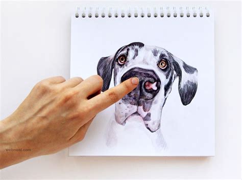 Dog Drawing Ideas