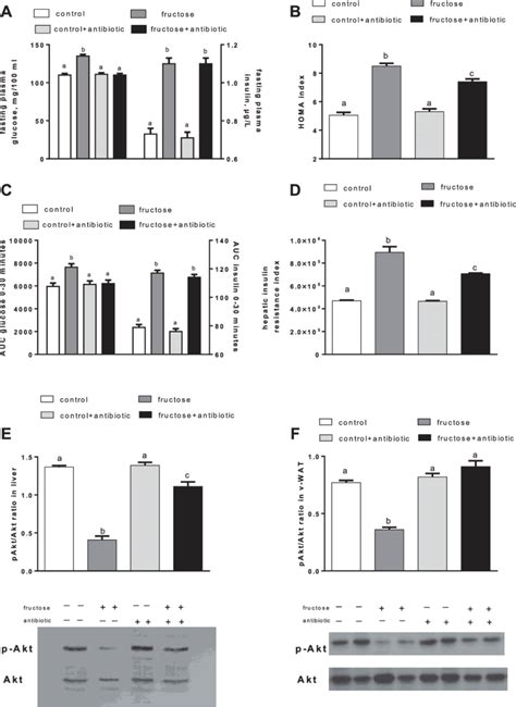 Parameters Of Glucose Homeostasis In Rats Fed A Control Or