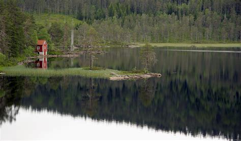 Free Images Landscape Tree Nature Forest Marsh Swamp Wilderness