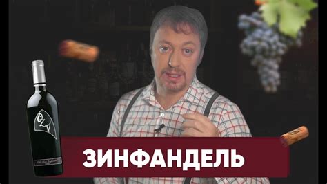 [ЗИНФАНДЕЛЬ] - он же Примитиво - YouTube