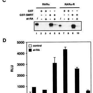 ROR AF 2 Helix Dictates Specificity Of Hr Repression Function A