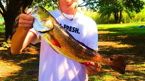 Inshore Multi Species Fishing With Live Shrimp Youtube