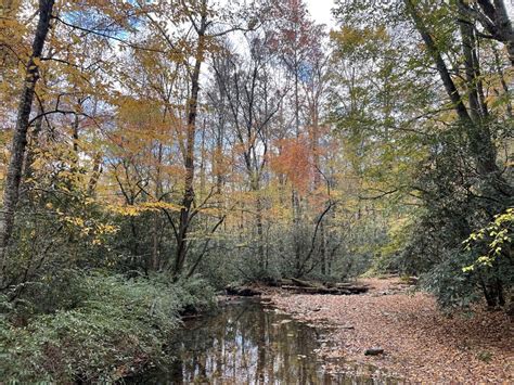 Great Smoky Mountains National Park Pictures