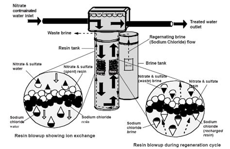 An Ion Exchange Unit Showing Nitrate Removal Download Scientific Diagram