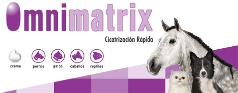 Omnimatrix Hifarmax