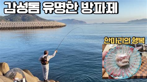 삼천포 최고 유명한 방파제 감성돔낚시 Youtube