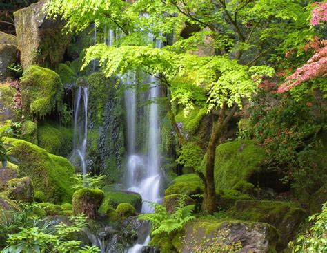 Nature Waterfall 4k Ultra HD Wallpaper