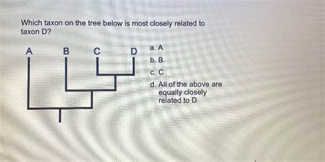 Solved Which taxon on the tree below is most closely related | Chegg.com