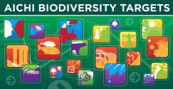 Interlinkages between the Aichi Targets and the Sustainable Development ...