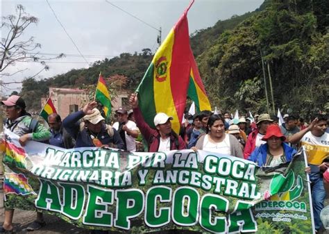 Segundo día de marcha de cocaleros de Los Yungas hacia La Paz buscan