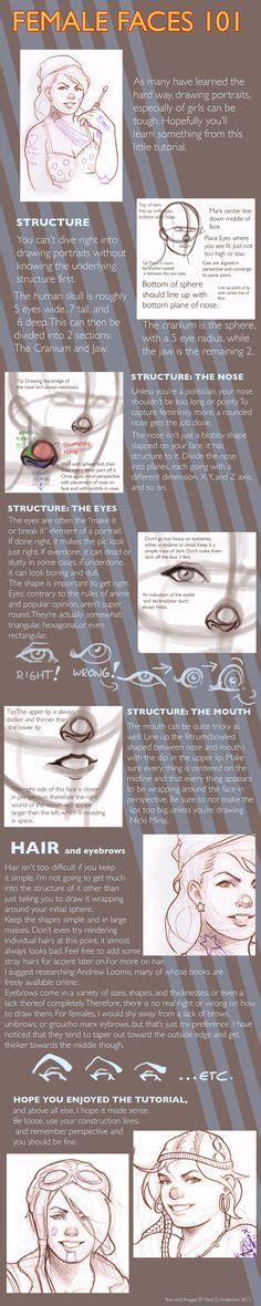 330 Idee Su How To Draw Faces Disegni Come Disegnare Anatomia