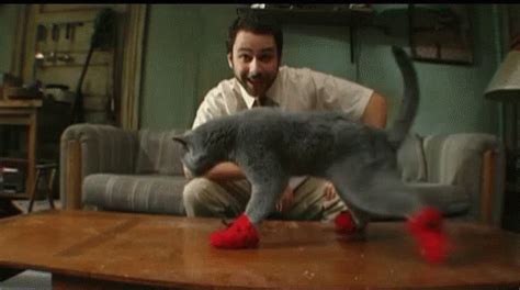 Kitten Mittens Gif GIFs | Tenor