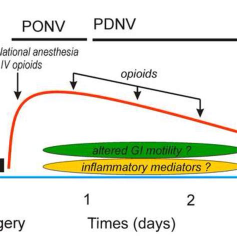 Pdf Pathophysiological And Neurochemical Mechanisms Of Postoperative