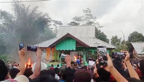 Serangan Harimau Di Lampung Barat Warga Demo Bakar Kantor Kehutanan