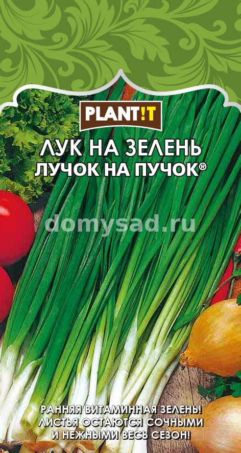 Лук на зелень Лучок на пучок 0,25гр. (PLANT!T) Ц / Лук Ц / II Пакеты ...