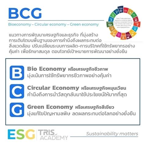 Bcg Bioeconomy Circular Economy Green Economy Tris Corporation