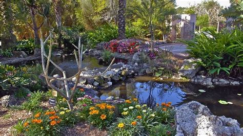 Hotels Near Florida Botanical Gardens And Heritage Village Attractions