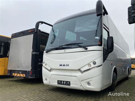 Man Lions Reisebus Kaufen D Nemark Christiansfeld Gd