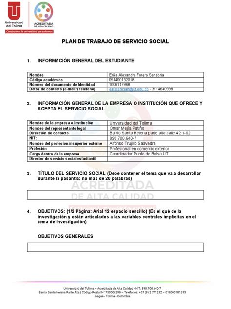 Formato Plan de Trabajo | PDF