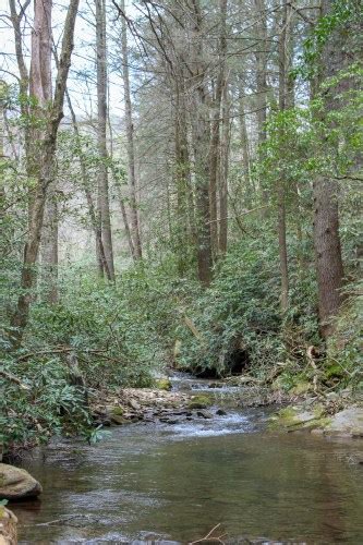 DeSoto Falls Trail, Cleveland, Georgia - The Walking Mermaid