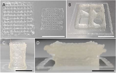 Frontiers Ultra Low Cost 3D Bioprinting Modification And Application