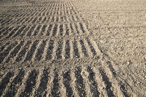 Plowed Soil In A Field During Preparation For Onion Seed Sowing In