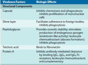 Staphylococcus Aureus Epidemiology Pathogenesis Treatment