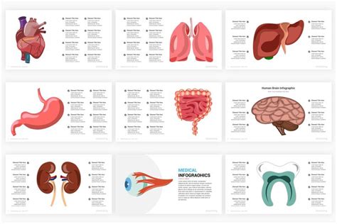 Medical PowerPoint Infographics Template PowerPoint Template ...