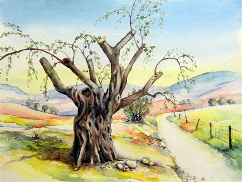 Olivenbaum Auf Kreta Aquarell Landschaft Baum Kreta Von Burkhard