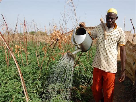 Un Herbicide De Syngenta Dans La Mire Du Burkina Faso Swi Swissinfo Ch