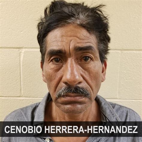BP Agents Arrest Sex Offender With Extensive Criminal History U S Customs And Border Protection