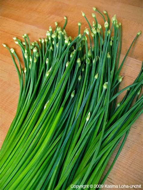 Stir Fried Chive Flower Buds