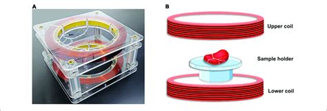 Static Magnetic Field Smf Experimental Apparatus A The Physical