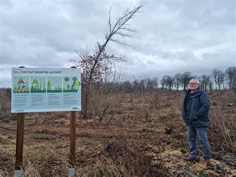 Héricourt Une opération de régénération en cours dans la forêt communale