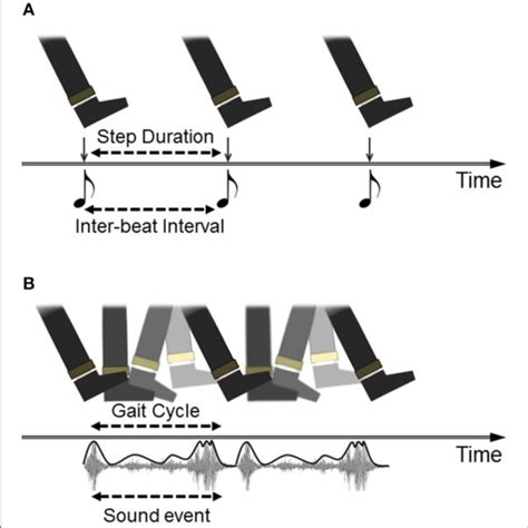 Different Models Of Auditory Cueing Of Gait A Walking To A Beat Is