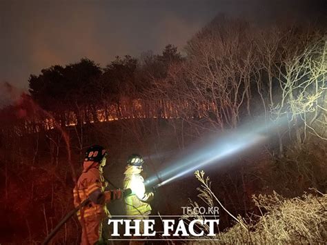 영덕 산불 36시간만에 주불 진화피해면적 400㏊·인명피해 없어종합 네이트 뉴스