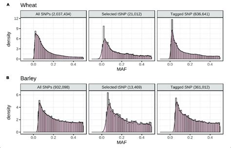 Minor Allele Frequency Maf Distribution Of All Snps Used For Ld