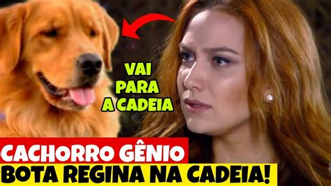 Cúmplices de um Resgate o cachorro manteiguinha desmascara Regina na